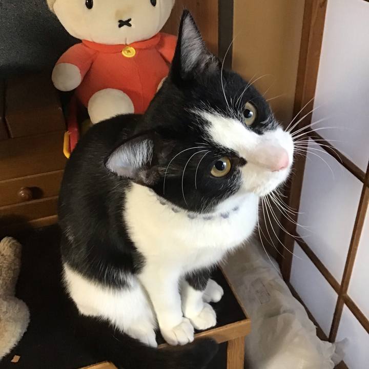 Af094d86 a651 42b2 b1af 7c26cae26735 1640730383631