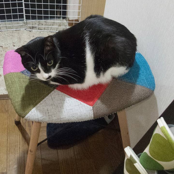 Af099ebf fb9b 49e2 81ef 548f71295e2c 1526468443079