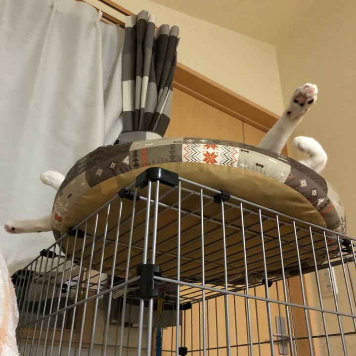 Af09a43b 45d8 4ead b9d6 f073ea633908 1532897271007