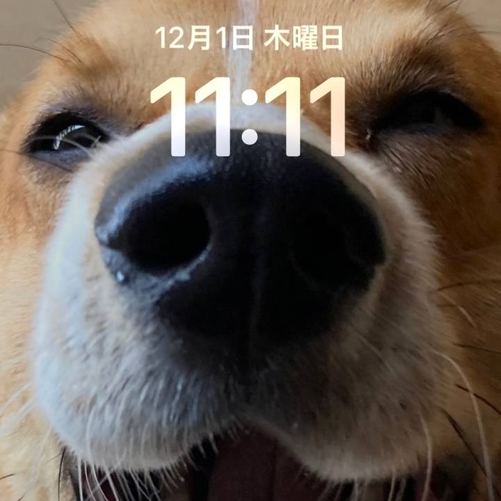 Af09a79a 23e1 435f a59b 059554dd9936 1669866700493