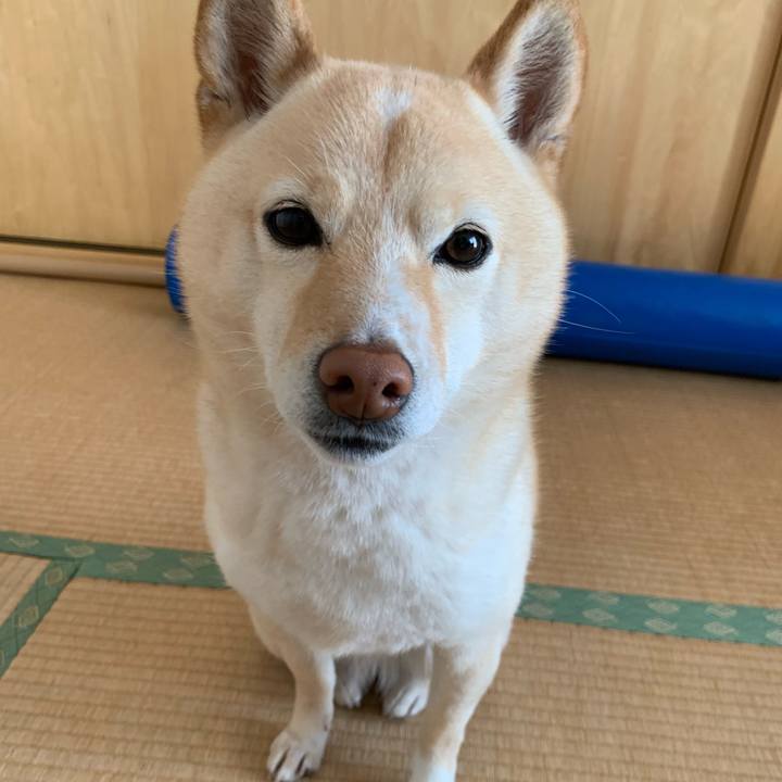 Af09b3a7 ed8e 44e5 8275 bafd442037e4 1647039696059