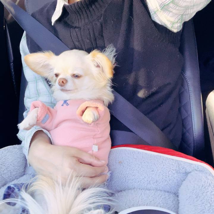 Af09b57b 2d18 4ce8 902c 9a51e975af3c 1702184728679