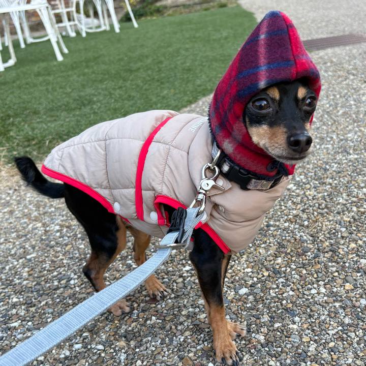 Af0a1d55 4d45 418e a84d 241f5da1b1b7 1769142863481