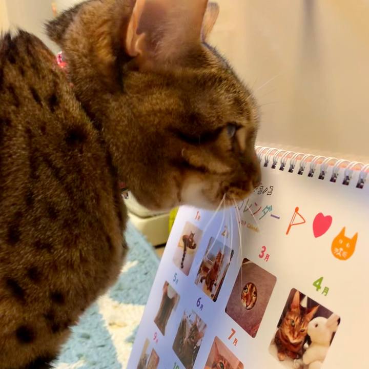 Af0a2216 d025 4009 bb93 e5335ef37221 1546335175891