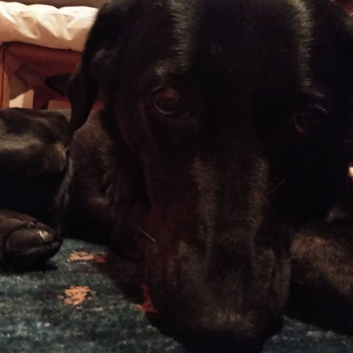 Af0a3ebc c376 4d0e 938d 87210d8491ac 1557579364726