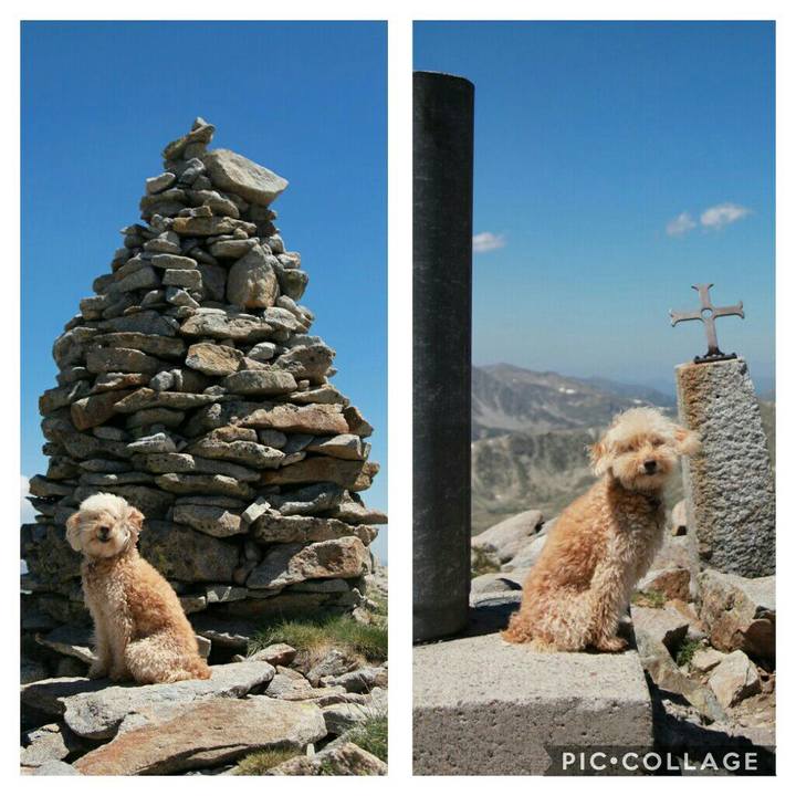 Af0a5d5c f64a 4deb 92fb 6657787dfb10 1562599035297