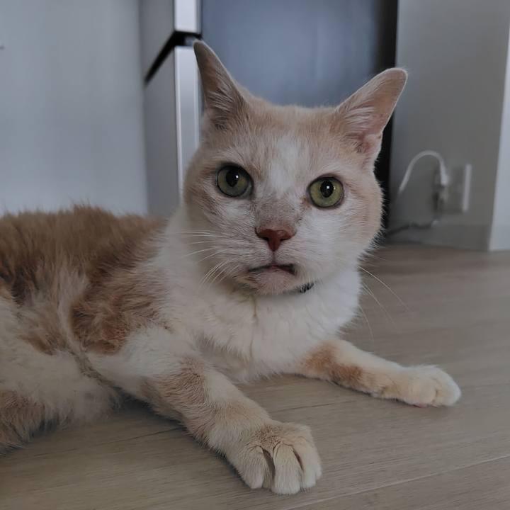 Af0a7693 fa45 4591 b614 cccfb1340dc2 1719823942043