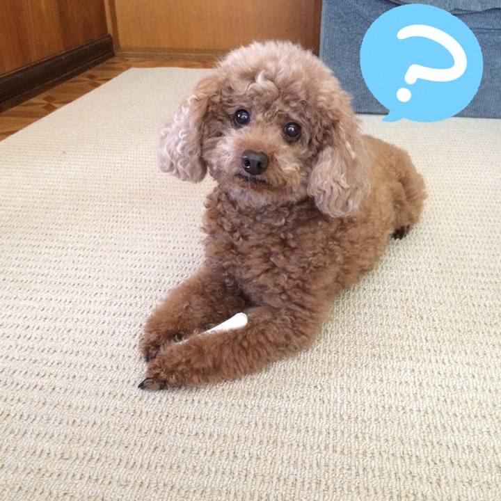 Af0ab45e c0e8 4f29 ba6c f46afb7d7341 1610256649094