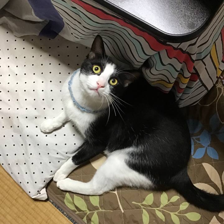 Af0ad09e 1f59 41b6 9c8d 62e638a7c8f0 1665488942052