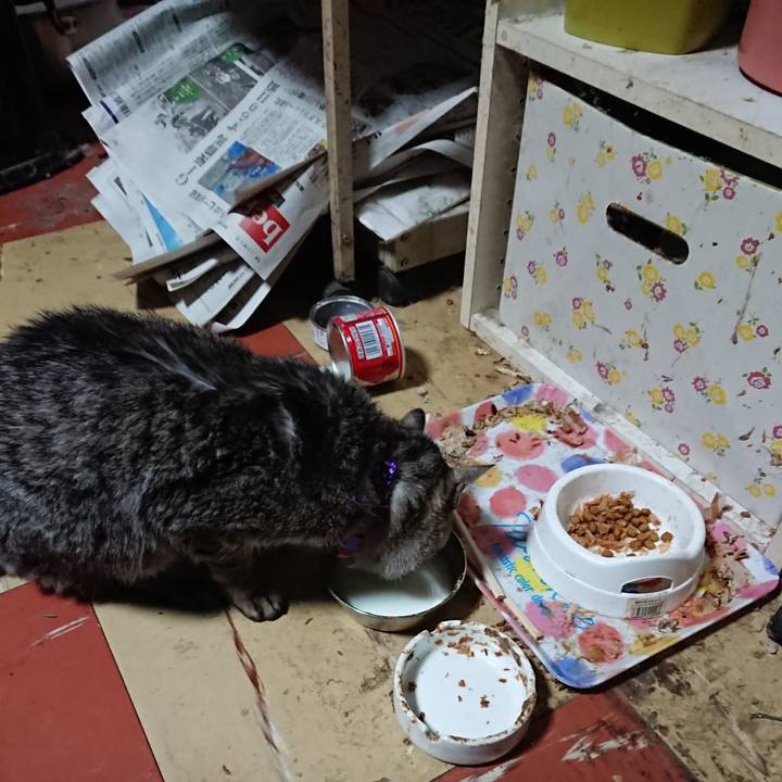 Af0aeae5 d9d0 441c 8d12 c91d9bf65a8c 1580676940657