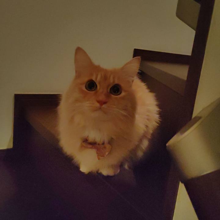 Af0b235b f08d 41a1 a944 2740d3ce6515 1704409569289