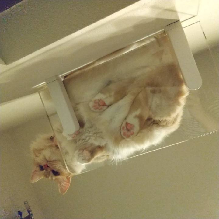 Af0b99fd a03f 4491 934f 20b48b13217d 1626435275985