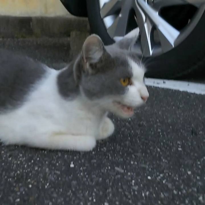 Af0bc238 4a9f 413a bb07 ef6f7781a3ad 1535534240229