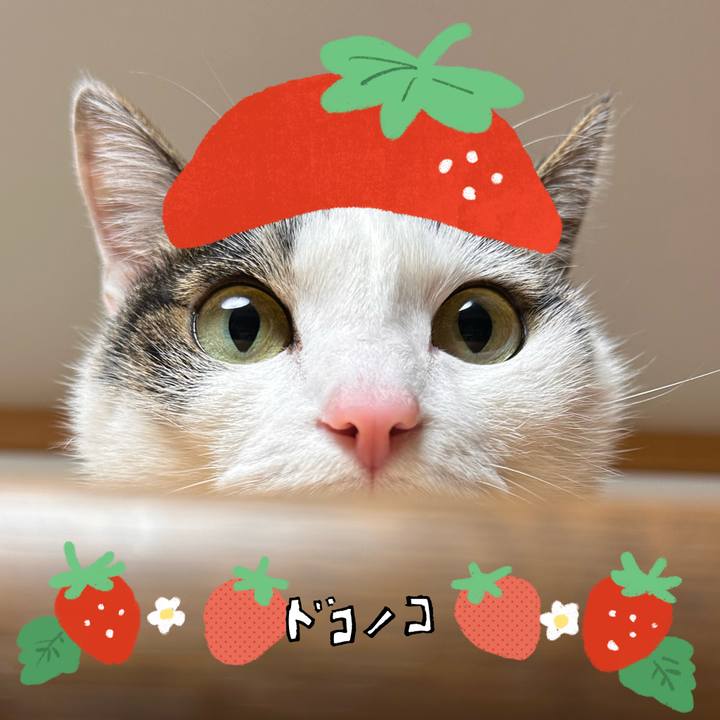 Af0bc2df 5943 4f2e 89fe 2b107bcd9dee 1775275114974