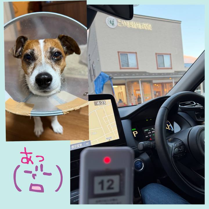 Af0bf897 81f9 45a7 a2b7 59ce4e87eefa 1766403241419