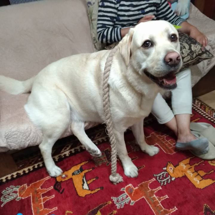 Af0c0ae1 d962 4b2b 9c97 8417c74d3c34 1558571559258