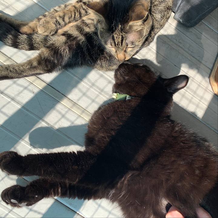 Af0c2b1f acf3 4d6e a6be dfbe1264749d 1552266427957