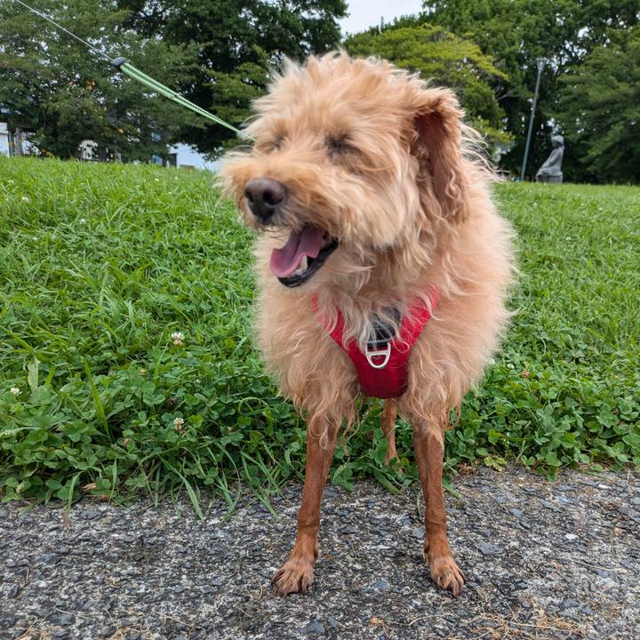 Af0c34d0 a358 4cb1 bb30 eb5c18585c4e 1722850348937