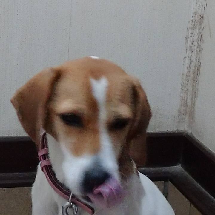 Af0c55e3 7460 4a31 97b6 2b49ad6b5971 1576638583827