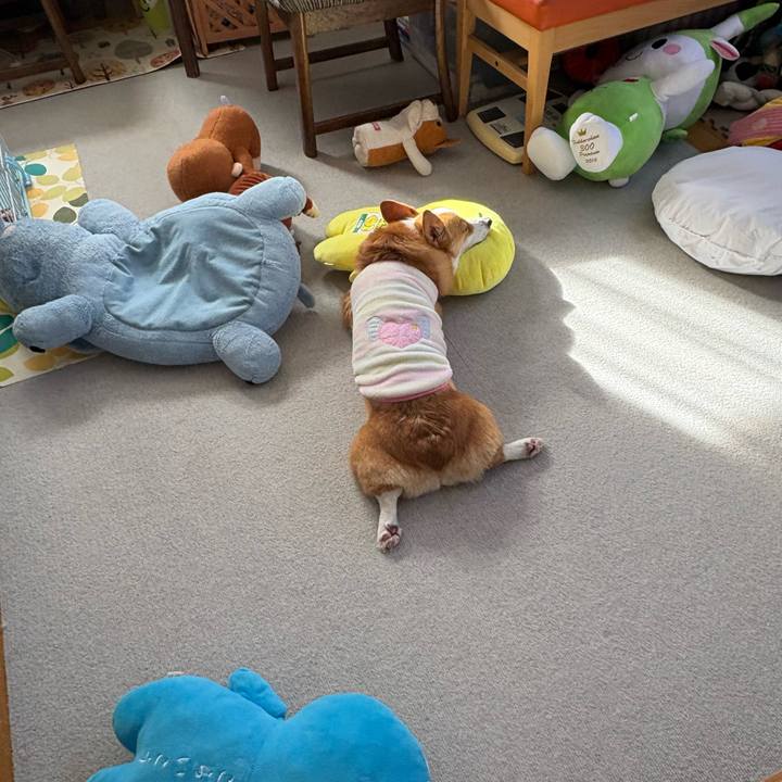 Af0ca57d 4b38 4552 b111 3bde3f0b4c1c 1768011420339