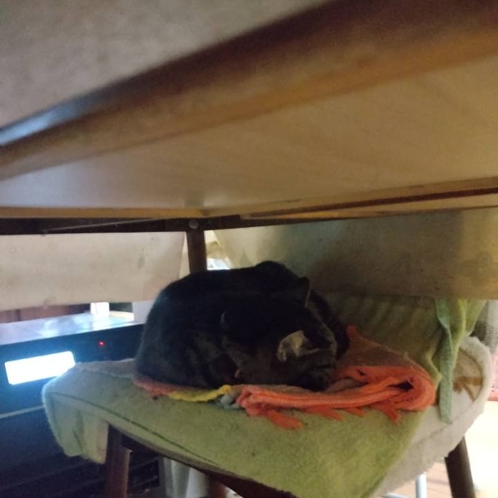 Af0cdce6 8d07 4754 94f1 c8b4a06eae23 1763508756673