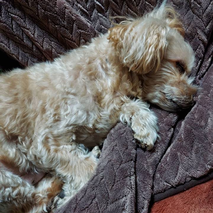 Af0d12a1 6195 4ed9 b31c 1379ef36b097 1737460343316