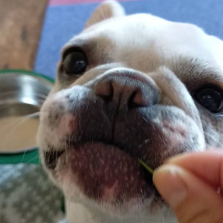 Af0d562e e6ef 4342 a823 35cb908f56ba 1656109868790