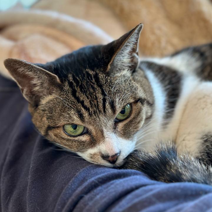 Af0d610b 3c23 4946 8f95 c3ba67f0fbfa 1672098266719