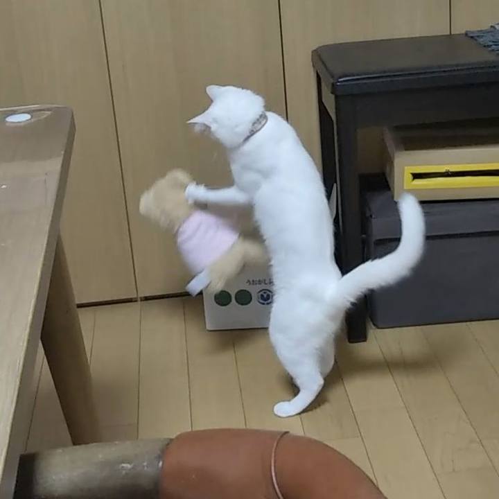 Af0d6b23 4c6f 4efa 8cec 4b173e72ecaa 1627165968177