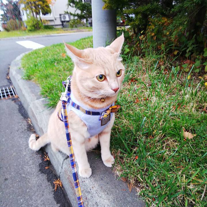 Af0d85fc 1a3d 44db a850 4f61b7a31a8d 1572476368185