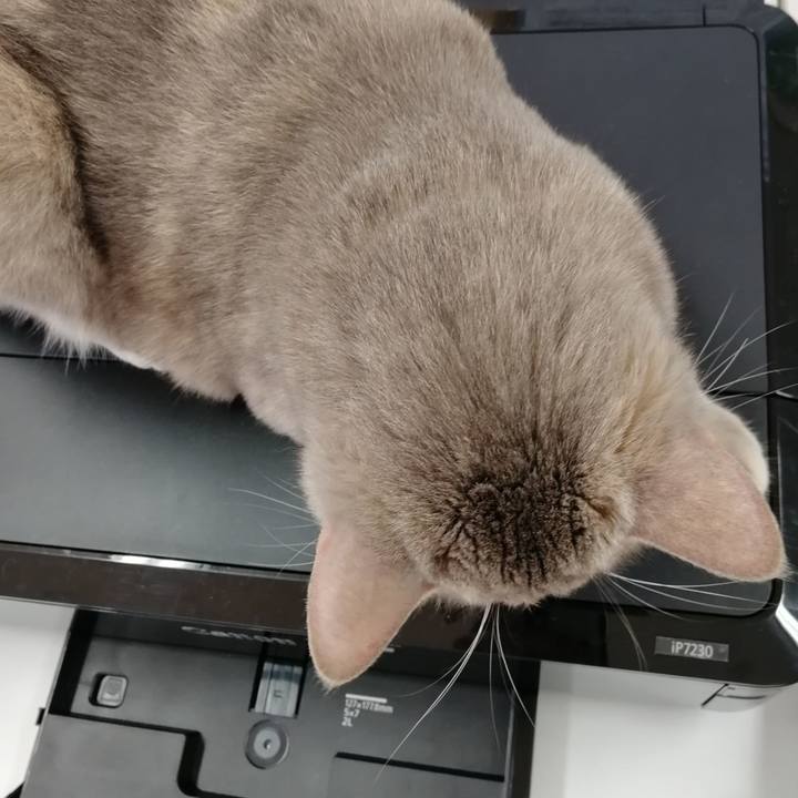 Af0dbcc8 4004 434a 8fc7 d6858bd8c462 1545719575147