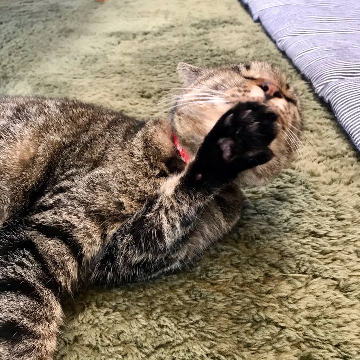 Af0dee00 657c 4f2e bf79 9e0e1c9fe022 1609658036495