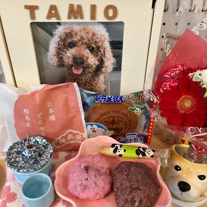 Af0dff0d fc1b 4417 b17b 96d83fa08755 1620022673960