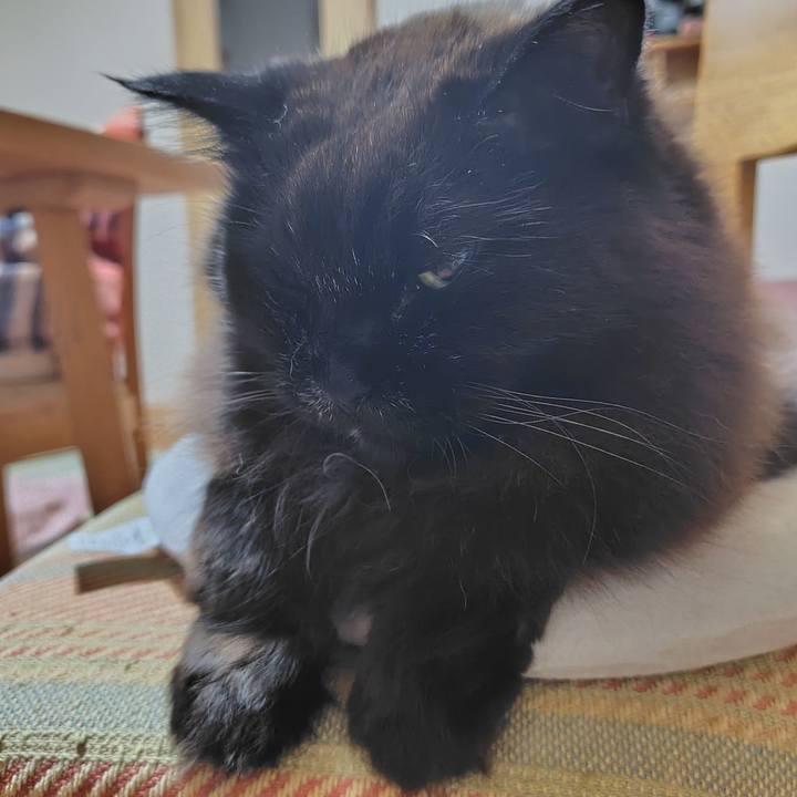 Af0e111d 7481 410d 9cb1 76f8c2483d95 1744378240623