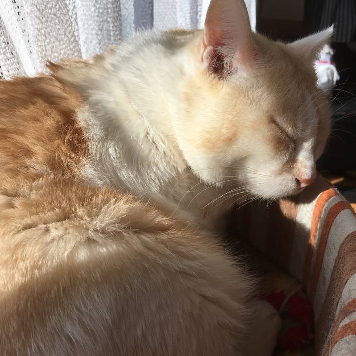 Af0e2624 2cfa 433c a8e4 a12d2dd0afff 1515290089234