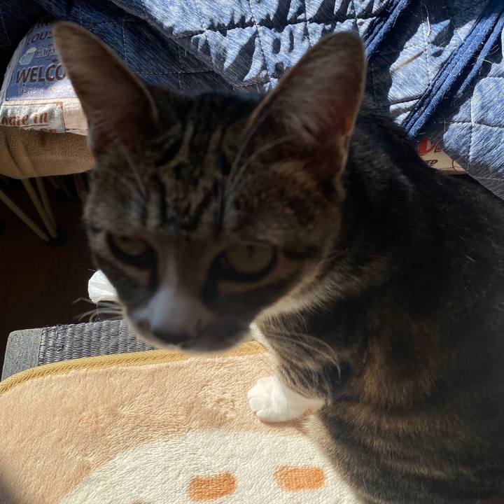 Af0e3a47 7a0f 4a1c 99cd 5068320faff6 1584247048612