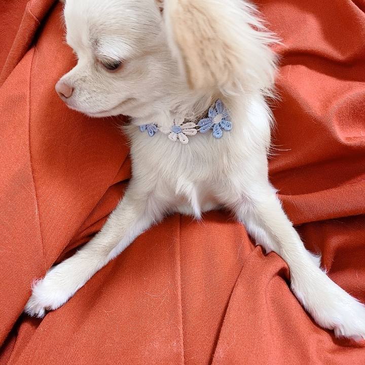 Af0e6eb4 0e27 418f b055 465e9e4e8ec3 1617406509576