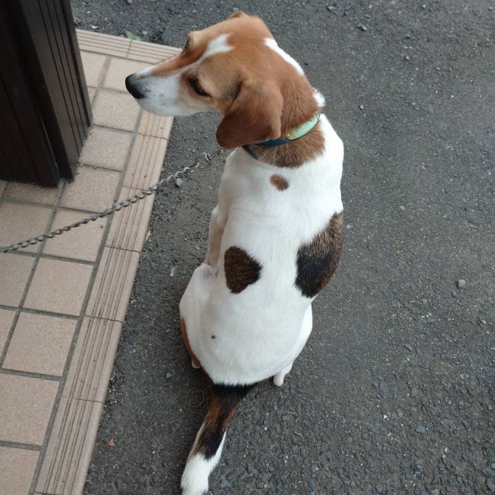 Af0e7527 4383 42b9 9971 9812941b0d80 1606290408911