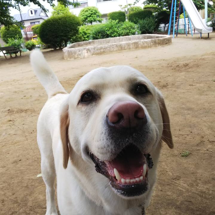 Af0e7764 3ce9 4c32 b602 a8246c939fa2 1558317393818