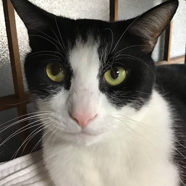 Af0e8362 77b3 4b2c 80c5 bf7dadf1e3e4 1759477704850