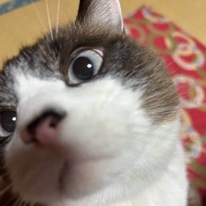 Af0e99f7 5ef2 46b3 b37f 9cca9ef897c8 1730670606638
