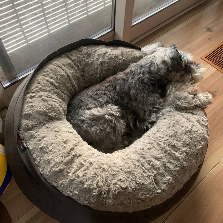 Af0eb276 1d67 4cbd 933f 4ff5f1f5a711 1668749231652