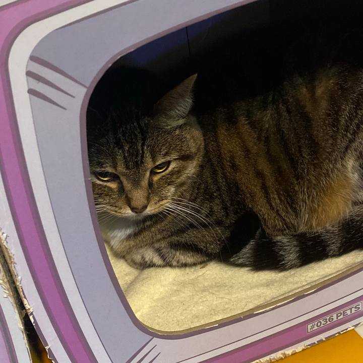 Af0ebb4b e5f7 408d 91f5 eda9b37ecdc8 1697298023915