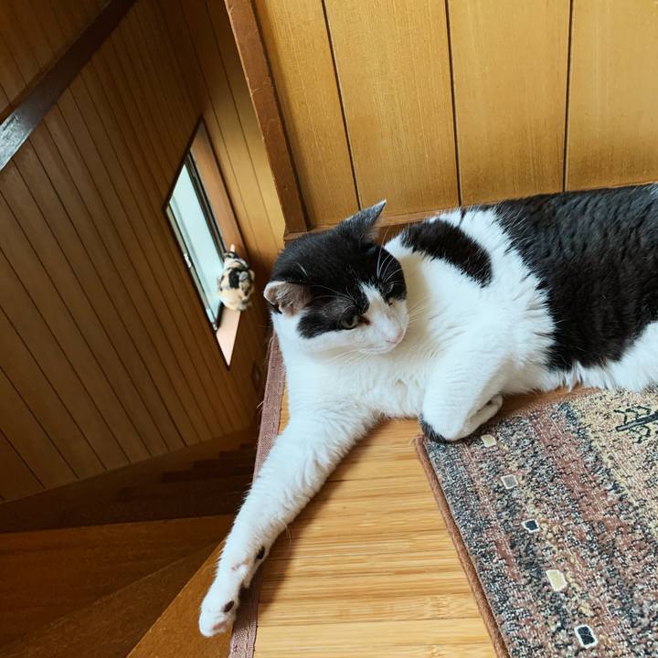 Af0ec1fa 35c0 4db8 ac06 88efabfbf249 1597888275551