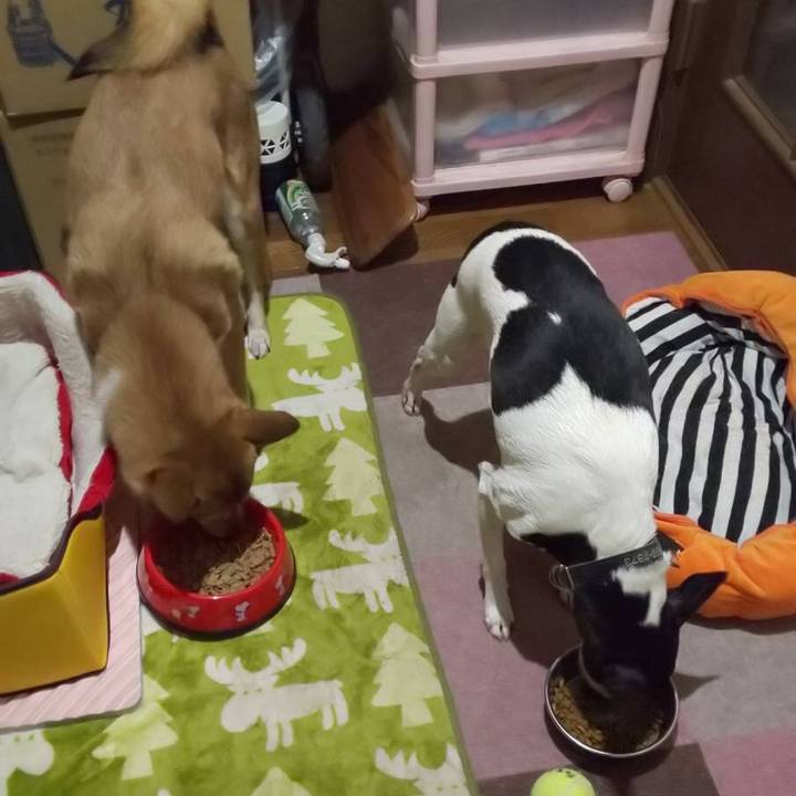 Af0f3ed5 1c7f 4cd9 aefe bd7d003dc0af 1553338811190