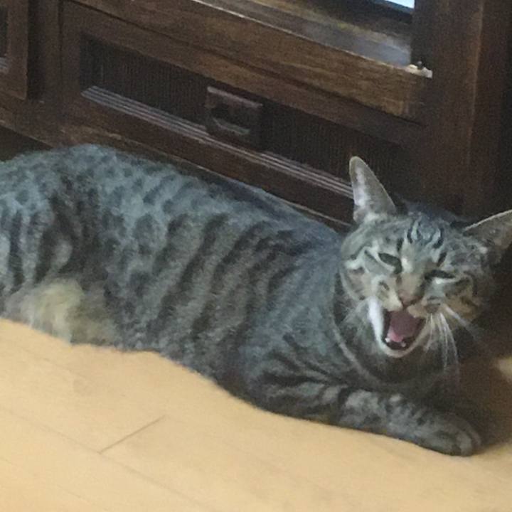 Af0f4d9b 113d 4c0f b250 78fb331fddfa 1600759833887