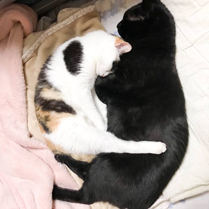 Af0f522d 0a86 4cf3 9c1d 3207a048a75d 1528987346171