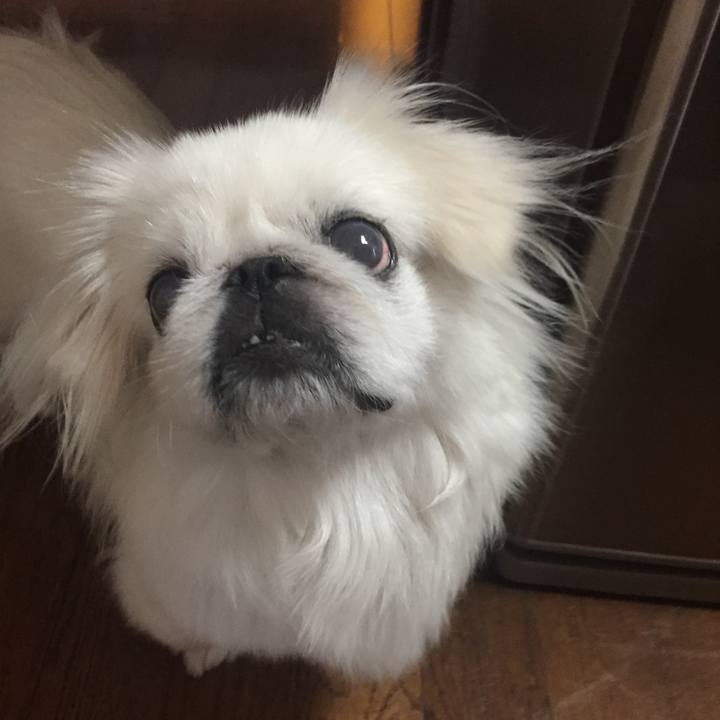 Af0f6853 9f7f 428b ba62 35e398f4dea3 1529824330558