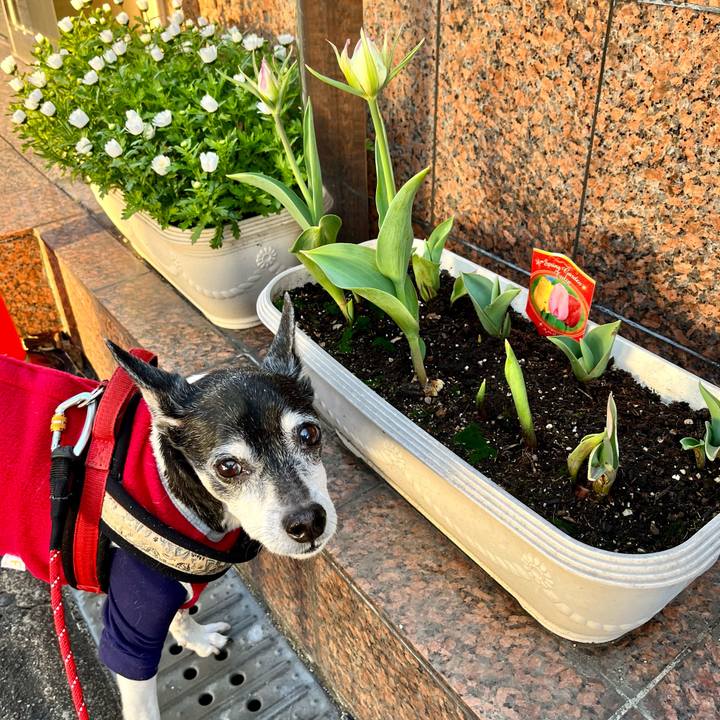 Af0f7046 aa6e 4d61 908e 809b7073031d 1649108917125