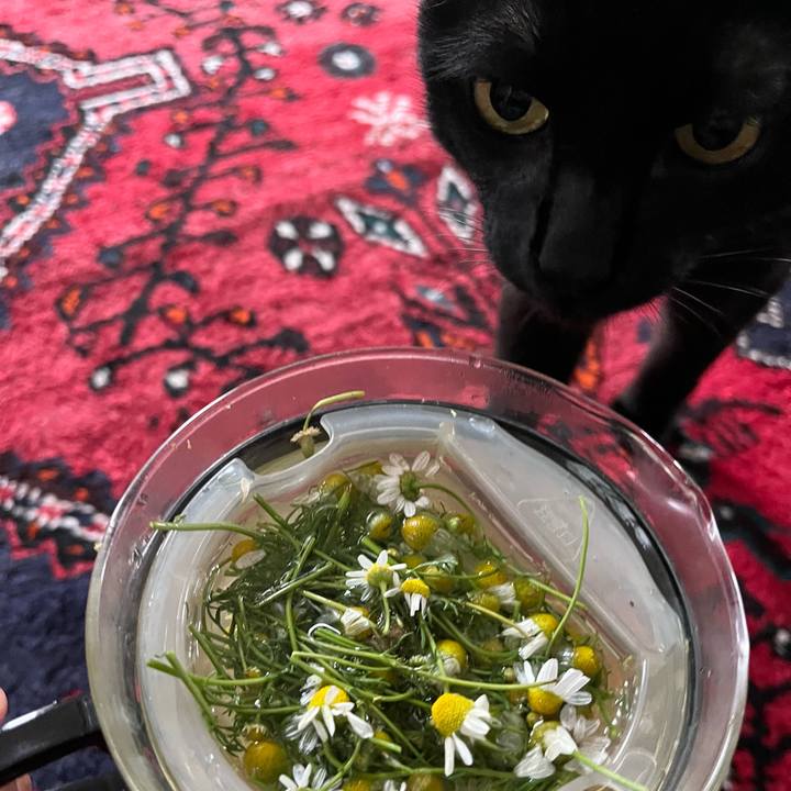 Af0f732f a7f4 49ff 8e1f a5433d5f1691 1716857393272